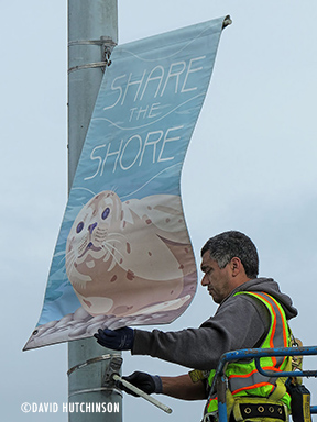 banner-install-2016