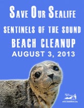 beachcleanup-sidebar