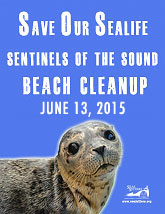 beachcleanup-sidebar-6-13-15