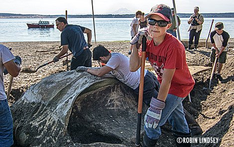 boy-scouts-whale1