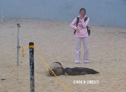 childrens-pool-casa-beach-rope