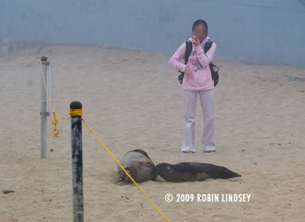 childrens-pool-rope