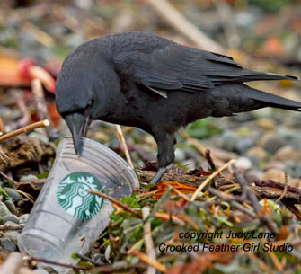 Judy-lane-raven-trash