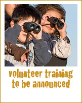 training-date-tba-gold