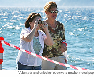 volunteer_and_onlooker