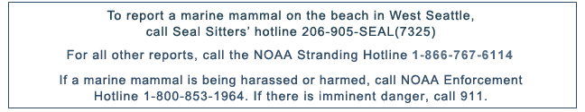 stranding-network-numbers-revise