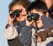 binocs